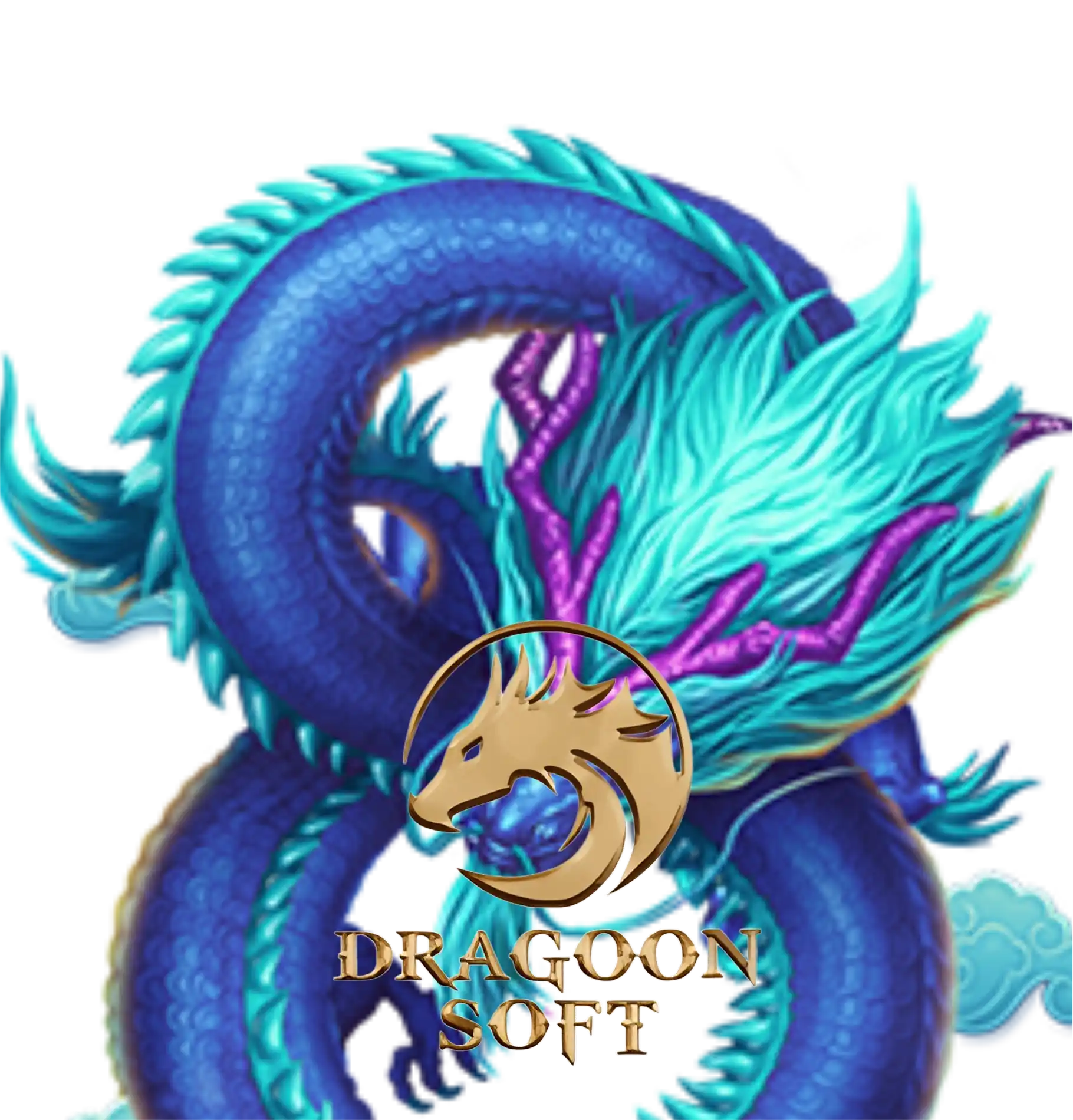 DRAGOONSOFT